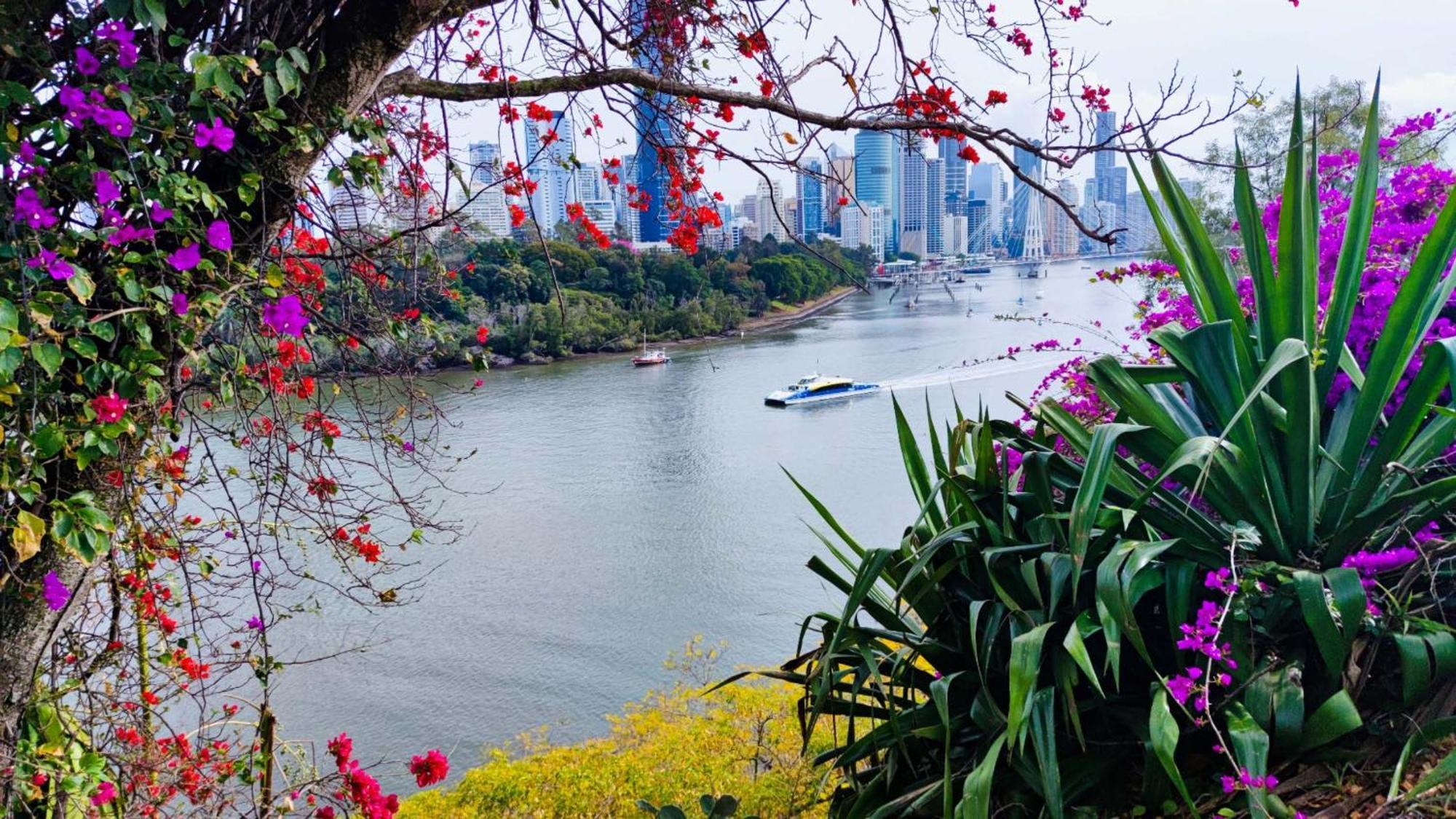 Cliffinn Kangaroo Point Бризбейн Екстериор снимка